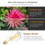 Leools Vintage LED Edison Bulb Dimmable 15W,Equivalent 120W, Antique Style ST64 LED Filament Bulbs,1300 Lumen,2700K Soft Warm White, E26 Base,4 Pack.