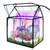 Plant Terrarium Kit with Grow Light, Rifny Small Glass Terrarium Jar with Absorbent Mat and Lid for Venus Fly Trap Succulent Live Air Plants Indoor Home Office Decor (Black, 7.1 x 4.8 x 8.8 inch)