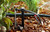 Rain Bird SW20-30PS Drip Irrigation Spot Watering Dripper/Emitter, 2 Gallon Per Hour, 30-Pack