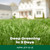 Scotts Green Max Lawn Food, 5,000 sq. ft.