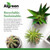 Algreen Faux Rock Cover, Decorative Accent for Garden & Landscaping, Warm Gray - Realistic Outdoor Hideaway for Pipes, Wells, Cable Boxes & Sprinkler Valves