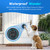 Soft Ring Blk Dog Bells to Go Outside - Wireless Dog Door Bell with 1000ft Range, 60 Melodies, LED, Waterproof Potty Training Bell for Dogs - Dog Door Bells for Potty Training(2 Bells & 1 Receiver)