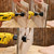 KATA 8PCS Hole Saw Kit 1" to 2-1/8"(25-54mm) Hole Saw Set in Case with Mandrels and Hex Key for Soft Wood, PVC Board, Plywood