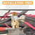 2 Set Side Post Battery Terminal Extension Bolt with Nuts,3/8"-16 Coarse and 3/8"-24 Fine Teeth Side Post Battery Bolts,Batteries Terminal Bolt for Reliable Current Transfer (B-2PCS)