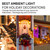 Hudson LED Halloween Bulbs - Flame Effect, 4‑Mode Upside Down & 3W Flicker - E26/E27 Orange Fire - 2‑Pack for Indoor/Outdoor - Flame Light