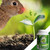 Repellex 20021 Systemic Granular Animal Repellent
