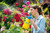 Gloria Pressure Sprayer Hobby 100