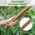 Haliaeetus Pick Axe, Stainless Steel Mattock with Sharp Pick and Cutting Edge for Breaking up Heavy Clay Soil, and Removal of Difficult Weeds, Garden Pick with Wood Handle for Digging, Loosening Soil