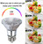 Ivyemons PAR20 Flood 39W 120V 480 Lumens- 6 Pack PAR20 Flood Light Bulbs with E26 Base, PAR 20 Dimmable 2800K Warm White, Long Lasting 39W PAR 20 Bulb for Recessed Lighting & Range Hood Light Bulbs