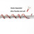 18 awg Silicone Electrical Wire 2 Conductor Parallel Wire line 60ft [Black 30ft Red 30ft] 18 Gauge Soft and Flexible Hook Up Oxygen Free Strands Tinned Copper Wire