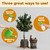 Orange Tree Fertilizer – Liquid Plant Food for More Fruit, Better Flowering & Stronger Root Development, 8 oz