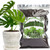 Doter Monstera Potting Soil 4qt - Premium Tropical Blend with Rapid Drainage for Growing and Repotting Monstera Deliciosa (Split-Leaf Philodendron) and Swiss Cheese Plants