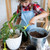 Doter Monstera Potting Soil 4qt - Premium Tropical Blend with Rapid Drainage for Growing and Repotting Monstera Deliciosa (Split-Leaf Philodendron) and Swiss Cheese Plants