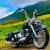 8mm/10mm Rearview Side Mirrors Chrome Skull Teardrop for Harley Dyna Electra Glide Street Glide Road King Softail