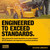 DEWALT Biosynthetic SAE 10W-30 Oil – 4-Cycle Engine Oil for Small Engines, Generators & Outdoor Power Equipment – Meets and Exceeds API SP – Extended Interval, Cold Start Protection – 18 oz