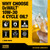 DEWALT Biosynthetic SAE 10W-30 Oil – 4-Cycle Engine Oil for Small Engines, Generators & Outdoor Power Equipment – Meets and Exceeds API SP – Extended Interval, Cold Start Protection – 18 oz