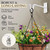 RTZEN Plant Hangers Outdoor or Indoor - Wrought Iron Metal Hanger Indoor Hook - Heavy Duty Wall Bracket Hooks for Hanging Plants Baskets Lanterns Bird Feeders - 2 Pack (White Shepherds Hooks 7.5")