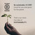 illy Whole Bean Coffee - Perfectly Roasted – Intenso Dark Roast - Warm Notes of Cocoa & Dried Fruit – Full-Bodied - 100% Arabica Beans - No Preservatives – 17.6 Ounce