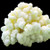 Milk Kefir Grains, Live Fresh, Kefir Cultures, 50 Billion Active Probiotics, for Friendly DIY Homemade Ferment, Guide Included - The Spirit Of The Forest
