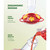 Hummingbird Feeder 10 oz [Set of 2] Glass Feeders for Outdoors, with Built-in Ant Guard - Circular Perch with 5 Feeding Ports - Wide Mouth for Easy Filling/2 Part Base for Easy Cleaning