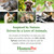 HomeoPet Feline UTI+ Safe and Natural Urinary Tract Supplement for Cats Feline Urinary Tract Support 15 Milliliters