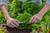 GARDENA Micro-Drip-System Attrezzo Base 1000: modulo Iniziale per Il Sistema di irrigazione Automatico Riduce la Pressione e filtra l’Acqua Semplice Tecnica di Collegamento (13333-20)