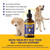 Special Breed Liquid Vitamin B12 for Dogs – Methylcobalamin and 5-MTHF – Boosts Energy, Appetite, Mood & Immune System Support, Easy-to-Use Dropper - Chicken Flavor, 2 fl oz
