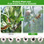 Large Fruit Tree Netting, 2 Pack 8x8Ft Garden Netting Pest Barrier Mesh Covers Bags with Zipper and Drawstring Insect Bird Cover Netting Plant Protection Covers for Vegetables Bushes