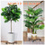 2 Pack Plant Caddy with Wheels, 14" + 12" Rolling Plant Stand 264 LBS Heavy Duty Wooden Square Plant Dolly with Metal 360° Lockable Caster Wheels for Outdoor Indoor Large Plant Pots, Flower Pot, Patio