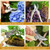 Amylove 24 Pcs Garden Flower Shears Pruning Scissors Valentine Heavy Duty Plant Scissor Garden Clippers Hand Bypass Pruner for Gardening Plants Hedge Tree Cutting Miniature Bonsai Modeling(Beige)