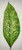 Parchment Paper Leaves for Cheese & Charcuterie Boards - Sisson Distribution Leaves (Pack of 5), Large Tropical, 20½" x 7½".