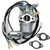 Huayi OEM Carburetor Carb Compatible with Champion 3400 3060 Watts Dual Fuel Generator 100263 Replacement part