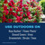 BioAdvanced All-In-One Rose and Flower Plant Care Spray - Insect Control, Disease Control & Plant Mite Killer - Ready-to-Use - Prevents Pests and Diseases - Up to 14 Days Protection - 24 fl oz Bottle