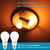 Qualilux Dusk to Dawn Light Bulbs, Auto On/Off Light Sensing LED Bulbs Outdoor, Amber Yellow Bug Light, A19 4-Pack, 12W 800LM 60W Equivalent, HQ-H020