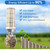 E12 LED Candelabra Light Bulbs, 200W Equivalent Chandelier Bulbs, 3000K Daylight White Non-Dimmable E12 LEDs Bulbs, 20W LED Light Bulb for Chandeliers, Ceiling Fan, Pendant, Wall sconces, Pack of 4