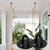 Tissting 304 Stainless Steel Pad Eye Plate Hook,Base Diameter 33mm/1.3in - 5 Pcs Round Heavy Duty Fixed Wall Mount Ring Hooks, Thickened Black Ceiling Mount Hanger U Shaped (33mm/1.3in)