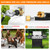 GasSaf 3 Feet Y Splitter Propane Regulator with Hose, 2 Hose Low Pressure Regulator Kit for Most LP Gas Grill, Heater, Camping Stove and Fire Pit Table