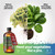 Liquid Power Pumpkin Fertilizer - Professional Liquid Plant Food for Pumpkin - Fast-Acting Concentrate for Growth, Strong Roots & High-Yield Harvest - 8 oz - Indoor & Outdoor Use