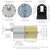12V DC Motor 200RPM High-Torque Geared Motor with 37mm Eccentric Output Shaft, CW/CCW Rotation, Metal Bracket Gearbox Reduction for Robotics, DIY Projects, Industrial Applications (200 RPM)