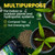 GreenGro Peruvian Seabird Guano, Organic Plant Fertilizer with Nutrients for Indoor and Outdoor Plants, Hydroponic Gardens, Soil Mix, and Compost Tea