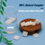 Natural Camphor Blocks (110 Grams, 64 Tablets) - Pure Camphor Alcanfor Tablets Cubes for Aromatherapy & Puja Alcanfor en Bloques, Kapoor for Pooja, Alcanfor by Alkiki