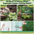 6 Pack Garden Plant Protectors from Animals with Stakes, Metal Mesh and Detachable Covers Wire Plant Cage for Keeping Bunny Animals Out, Chicken Wire Cover Garden Protect (12 * 13 in)