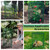 6 Pack Garden Plant Protectors from Animals with Stakes, Metal Mesh and Detachable Covers Wire Plant Cage for Keeping Bunny Animals Out, Chicken Wire Cover Garden Protect (12 * 13 in)