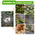 SHENTEC 6 Inch Weed Wacker Attachments Heads,Steel Wire Rotary Brush Cutter Trimmer Head Compatible with Husqvarna, Stihl, String Trimmers, Gardening Lawnmower, Moss Grass Rust Removal