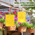 Qualirey 400 Pcs Yellow 6 x 8 Inch Sticky Traps for Gnats Dual Sided Fruit Fly Sticky Traps for Indoor and Outdoor Plant with Twist Ties and Plastic Holders for Fungus Gnats, Bug, Flying Insect