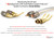 Nakamichi FanLock Excel Series 24k Gold Plated Spade Connector Banana Plug 10 AWG - 18 AWG Gauge Size 4mm for Speakers Amplifier Hi-Fi Home Theatre Wire Cable Quick Connector, 16 Pcs (8-Pairs)
