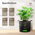 VIVOSUN 5-Pack 10 Gallon Plant Grow Bags, Heavy Duty Thickened Nonwoven Fabric Pots with Handles
