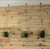 Shineloha 2 Pack Hanging Planters for Indoor Plants with 5.5" Pot + Ceiling Hook + Extender Chain | Hanging Plant Holder, Metal Minimalist Planter, NO Plant incld Shineloha 2 Pack Hanging Planters for Indoor Plants with 5.5" Pot + Ceiling Hook + Extender Chain | Hanging Plant Holder, Metal Minimalist Planter, NO Plant incld