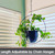 Shineloha 2 Pack Hanging Planters for Indoor Plants with 5.5" Pot + Ceiling Hook + Extender Chain | Hanging Plant Holder, Metal Minimalist Planter, NO Plant incld Shineloha 2 Pack Hanging Planters for Indoor Plants with 5.5" Pot + Ceiling Hook + Extender Chain | Hanging Plant Holder, Metal Minimalist Planter, NO Plant incld