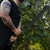 Handmade High Manganese Steel Blade Machete for Cutting Trees Heavy Duty,37.5" Full Tang Leather Handle,Outdoor Survival Hunting Tactical Sword Condor Machete or Yard Work